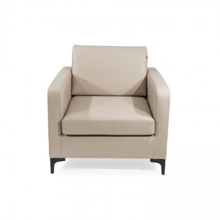 ALGUNA - Modern Lounge Chair